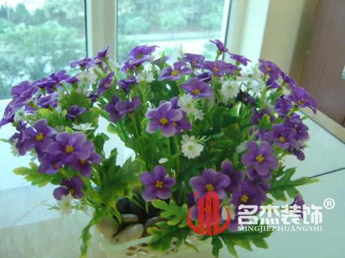 办公室羞羞视频网站入口.jpg